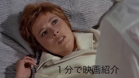 1分で映画紹介「雨の訪問者」