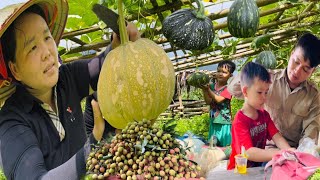 Full video, Daily Life, Harvest vegetables, fruits, bring to the market sells