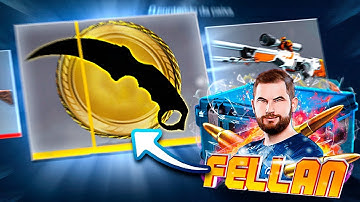GANHEI uma FACA RARA na CAIXA DO FALLEN! *Karambit* - CSGO.Net Open Case