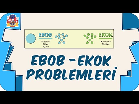 EBOB - EKOK Problemleri / Detaylı Soru Çözümü 📘 8.Sınıf Matematik #2023LGS