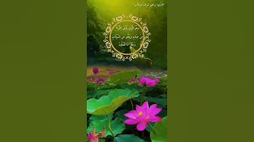 تلآوة قرأنية قصيرة/ القارئ ابراهيم شرف ابوطالب