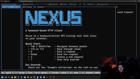 Nexus TUI - API Client