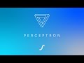 Comprendre l'intelligence artificielle : Le Perceptron 2/2