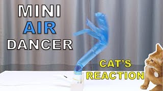 How to Make a Mini Air Dancer and Cat's Reaction screenshot 1