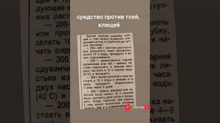 средство от тли, клещей , полезные советы для огорода,  помидоры ,огурцы