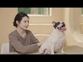 【毛天使】寵物皮膚調理修護膏 20g(保濕修護 舒緩敏感 犬貓通用) product youtube thumbnail