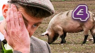 Bride Is NOT Happy With Her Pig-Themed Wedding! | Don't Tell The Bride Bride Is NOT Happy With Her Pig-Themed Wedding! | Don't Tell The Bride