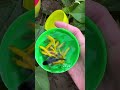 This Fish Video Is Going Viral! 🚀🌈 #fishpetfun #funny #fishpetfun #funnyanimal #kids