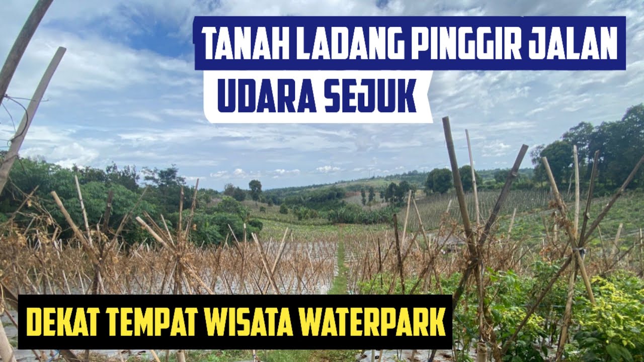 Jual Tanah Pinggir Jalan Luas 2036 m2 SHM Rp 500 Juta di Darangdan Purwakarta Dekat Wisata Waterpark