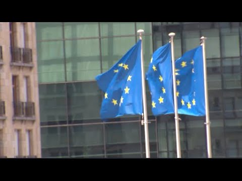 ევროკომისიამ ევროკავშირში გაწევრიანებაზე საქართველოს განაცხადთან დაკავშირებით  ანგარიში წარადგინა