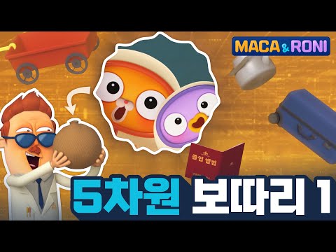[본편] 5차원 보따리 (1) |  마카앤로니 | 재밌고 귀여운 힐링 애니메이션  | Comic Animation
