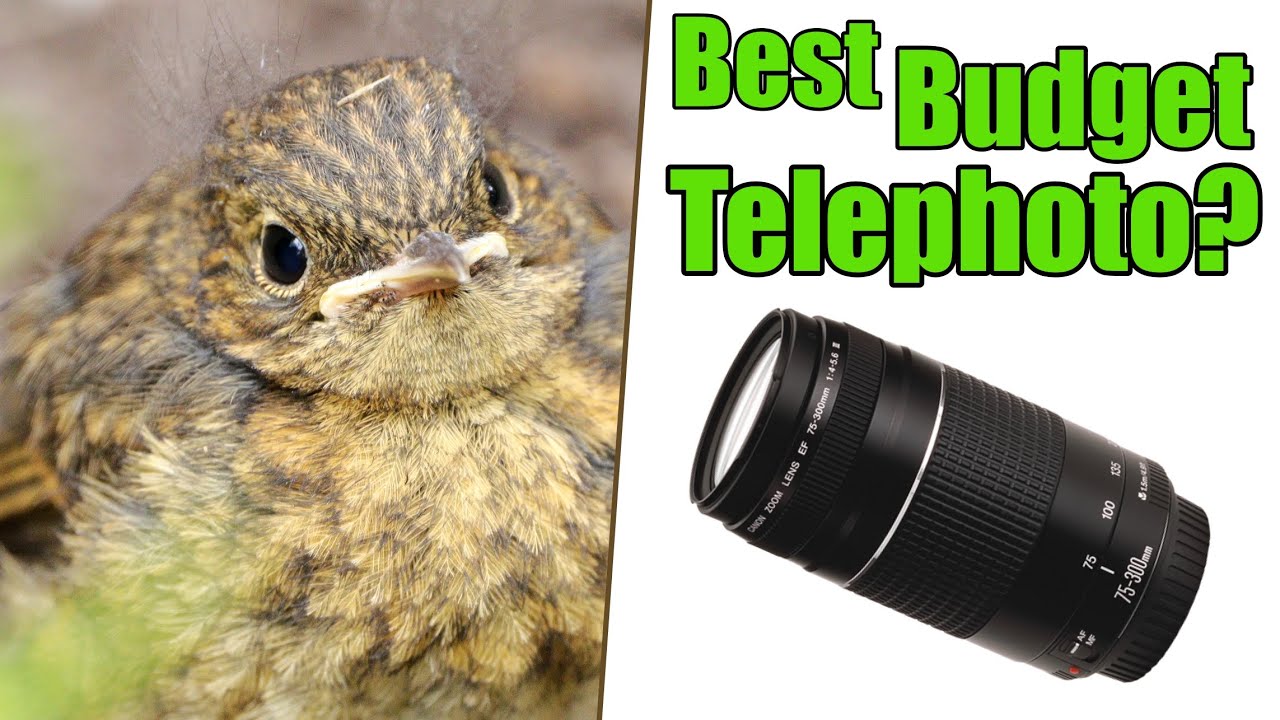 Canon 75-300mm Review | - | Test Pros | Camera Review and Autofocus YouTube cons Gear