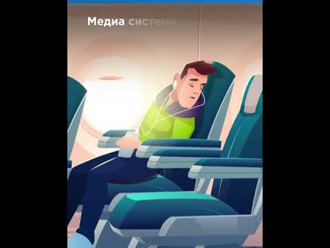 Какие услуги предоставляет Uzbekistan Airways Express