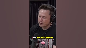 Unleashing Your Brain