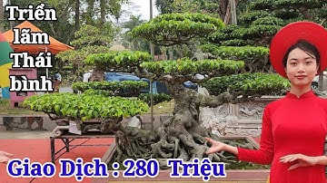 Tin mới tại TL Thái bình ! Giao dịch TP sau giờ khai mạc
