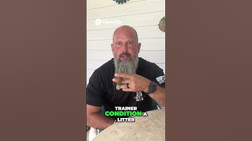 Teach the Emergency Down | Stop Your Dog Instantly at a Distance