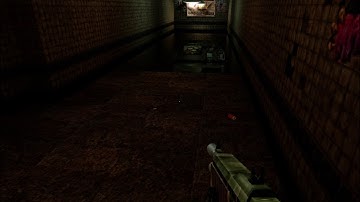 Soldier Of Fortune Fix Walkign Problem