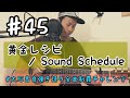 ♯45 黄金レシピ / Sound Schedule 弾き語りcover.