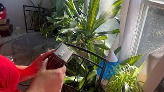 bitty Boomers More Cow Bell speaker #amazoninfluencer #ad #watch