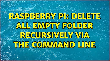 Raspberry Pi: Delete all empty folder recursively via the command line