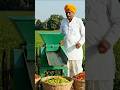 Gaon Ki Mirch Machine 😍🌶️ | Oddly Satisfying ASMR 🔥 #shorts #viral #asmr #farming #trending