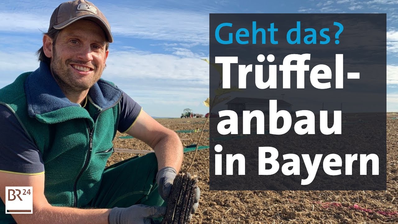 Pionierarbeit mit großem Ziel: Trüffel made in Oberbayern | Abendschau | BR24