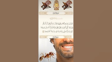 سوره النمل #دويتو #القزابري #اكسبلور #المصحف