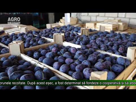 Video: Cum Se Usucă Prunele