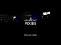 PIXIES - Where is my Mind? (Zócalo CDMX) 10/11/2018