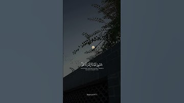 من سورة التوبة |الشيخ: ماهر المعيقلي| فيديو قصير