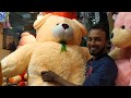 বিশাল সাইজের টেডি বিয়ার পুতুলের দাম/Cute Teddey bear doll priceBD(Family And Friends)