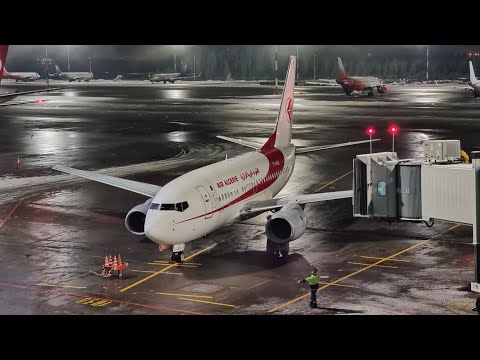 Видео: Boeing 737-600 а/к Air Algerie | Рейс Санкт-Петербург — Алжир