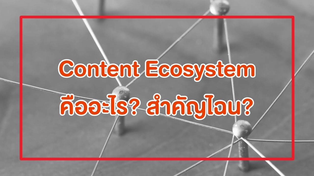 content คืออะไร  2022  Content Ecosystem คืออะไร? สำคัญไฉน?