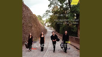 String Quartet No. 6 in F Minor, Op. 80, MWV R 37: IV. Finale. Allegro molto