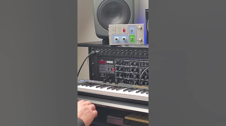 Discover the Behringer PRO800! Watch as we explore random presets and unveil unique sounds.