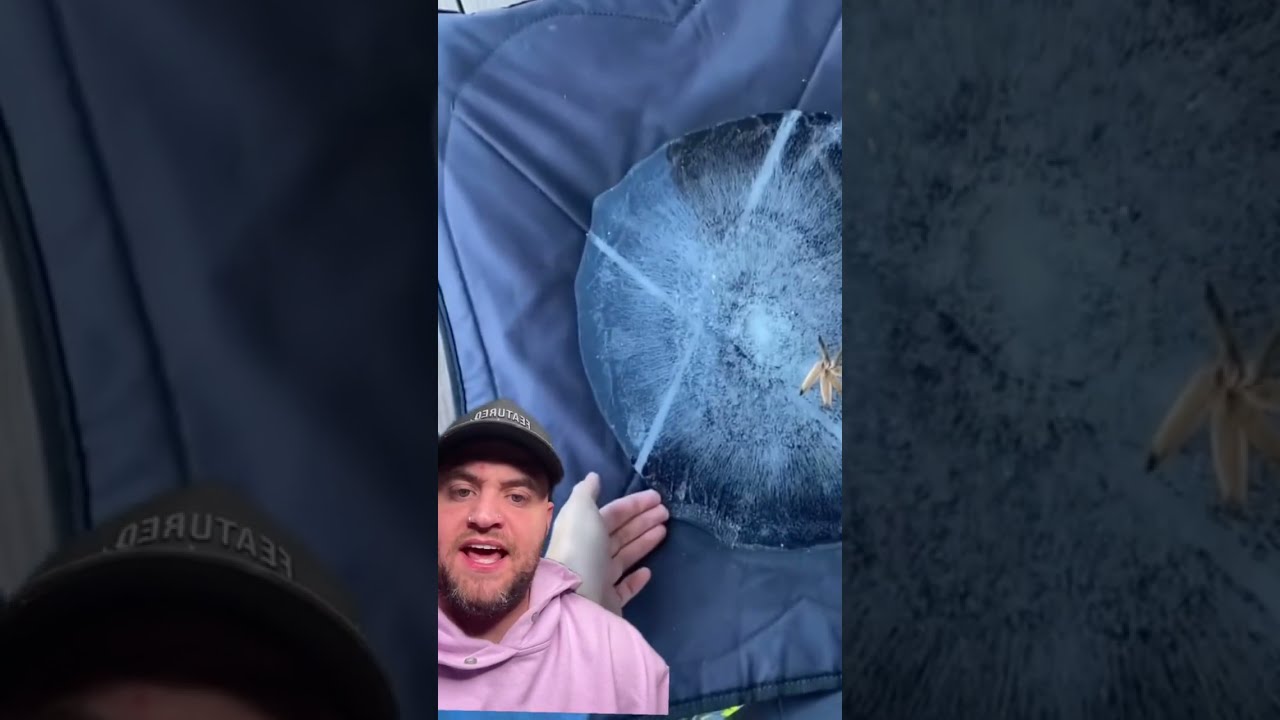 THE SATISFYING ICE IS CRAZY Shorts