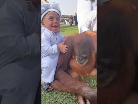 حبوبة تلعب مع الجميع اكسبلور