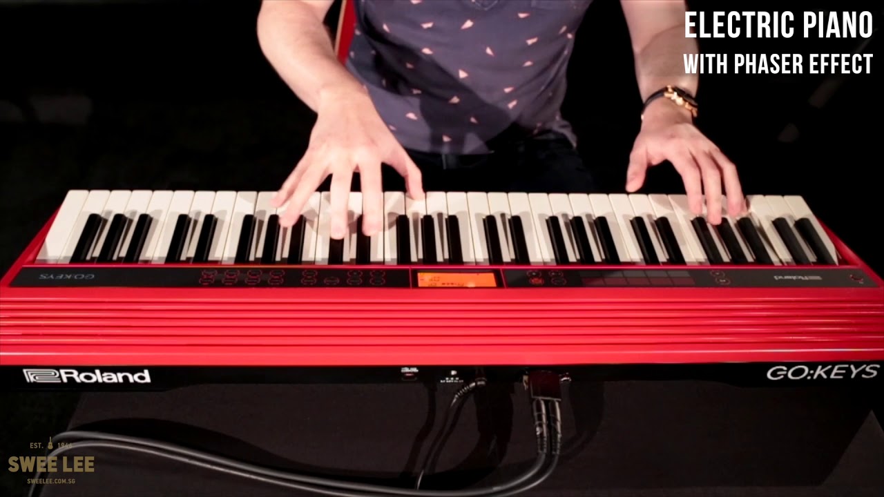 Zoo Detailed resist Roland GO:KEYS 61-key Music Creation Keyboard - YouTube