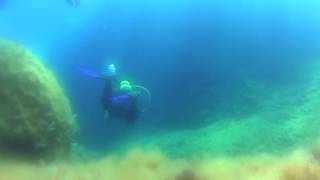 Mallorca Diving