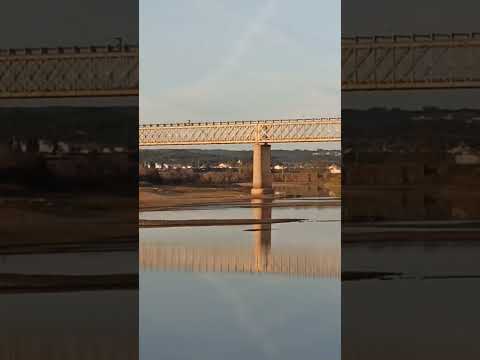 12 января 2025 г