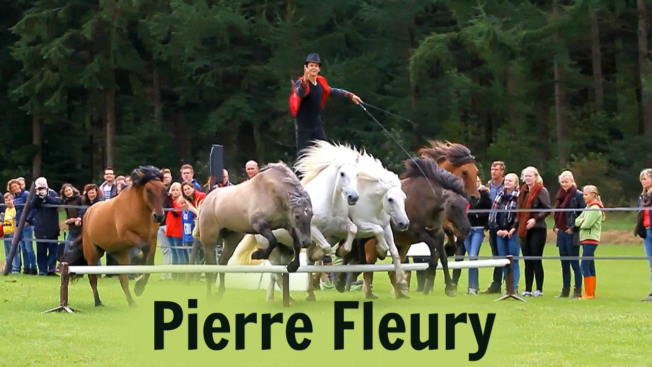 SHOW Pierre Fleury with his six Highlandponies - YouTube
