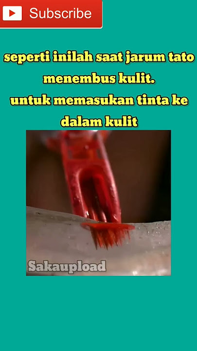 beginilah saat jarum tato menembus kulit. #shorts #faktamenarik #faktaunik #tahukahkamu #fakta #tato