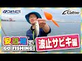 【安近短】波止サビキ編