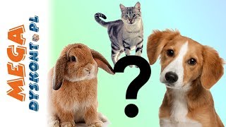 Playmobil City Life Pasaż Handlowy Zakup Zwierzątka Bajki Po Polsku