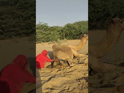 امرأة مشغولة بالخروج من بطانية ناعمة من الماء