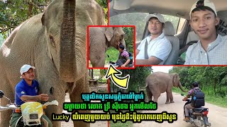 បុគ្គលិកសួនសត្វភ្នំតាម៉ៅម្នាក់ទម្លា/យថា លោក ទ្រី ស៊ីថេង ស្រ/ក់ទឹ/កភ្/នែកពេញមួយយប់