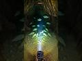 Underground Water World🌍#viral #short #fish