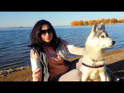 Vidéo: Réservoir d'Iriklinskoe dans la région d'Orenbourg : loisirs et pêche