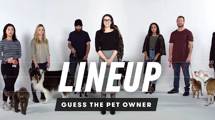 Match the Dog to Their Owner | Lineup | Cut - DayDayNews