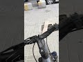 Calling mother cat by bike bell